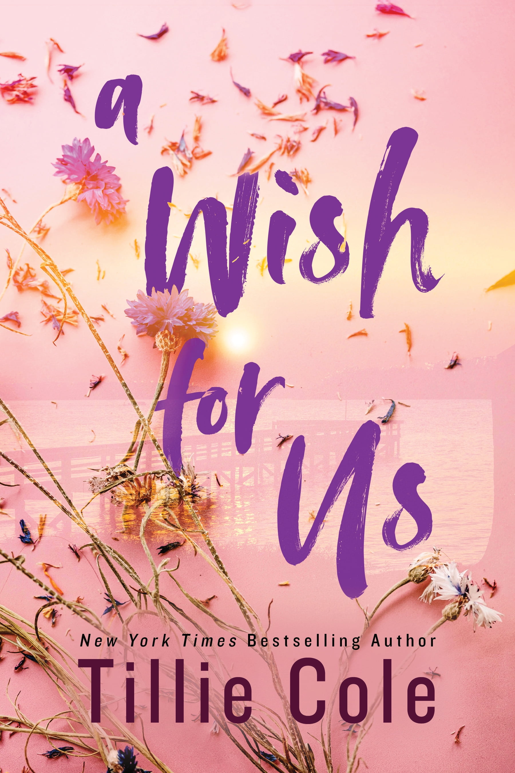 A Wish for Us (Deluxe Edition) (Special edition) (Paperback