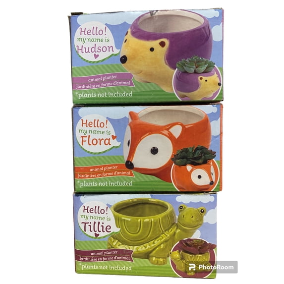 Tillie The Turtle, Flora the Fox, Hudson the Hedgehog Ceramic Animal Mini Succulent Planter Boxed Gift