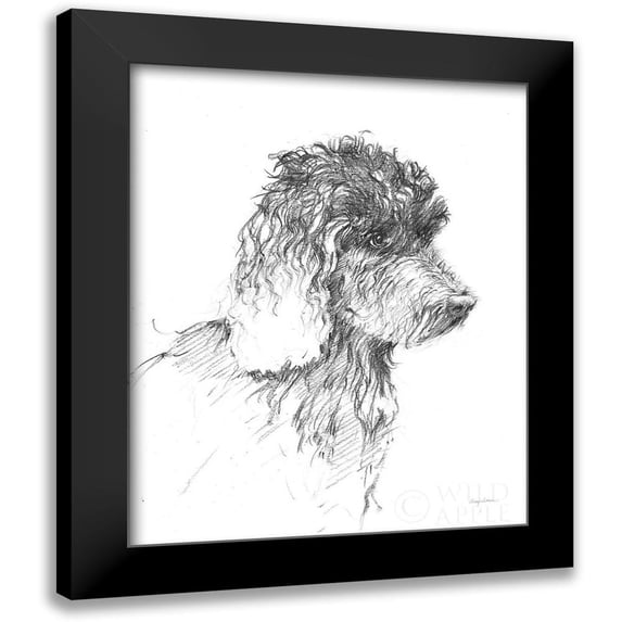 Tillmon, Avery 15x18 Black Modern Framed Museum Art Print Titled - Labradoodle Sketch