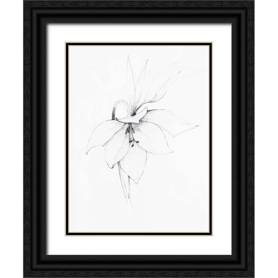 Tillmon, Avery 15x18 Black Ornate Wood Framed with Double Matting Museum Art Print Titled - Graphite Floral III