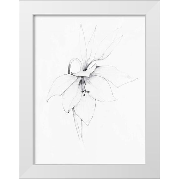 Tillmon, Avery 19x24 White Modern Wood Framed Museum Art Print Titled - Graphite Floral III