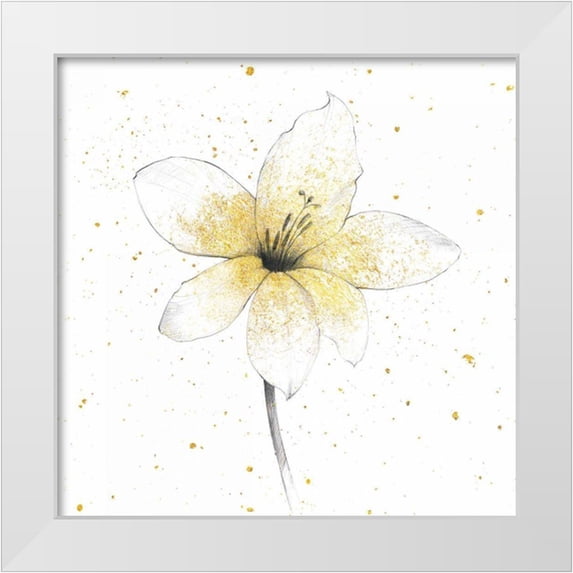 Tillmon, Avery 20x20 White Modern Wood Framed Museum Art Print Titled - Gilded Graphite Floral II