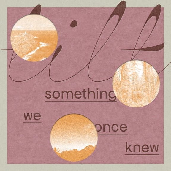 Tilt - Something We Once Knew - Music & Performance - Vinyl