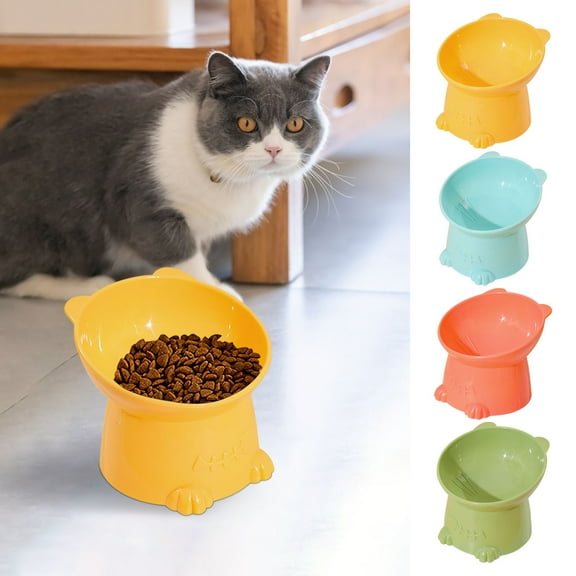 Tilted Elevated Cat & Small Dog Food Bowl | 15° Angled Raised Design Reduces Vomiting | Promotes Digestion | Non-Slip 100% Recycled Plastic | Easy-Clean Mess-Free Feeder | Single Bowl | Eco-Friendly