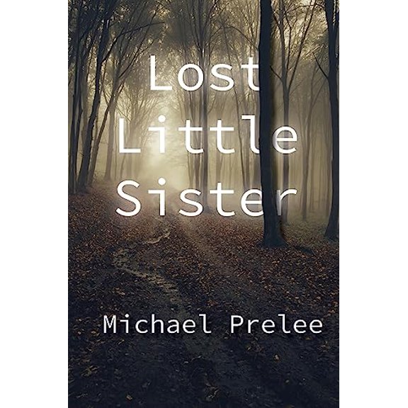 Pre-Owned Lost Little Sister (Paperback) 1682011143 9781682011140
