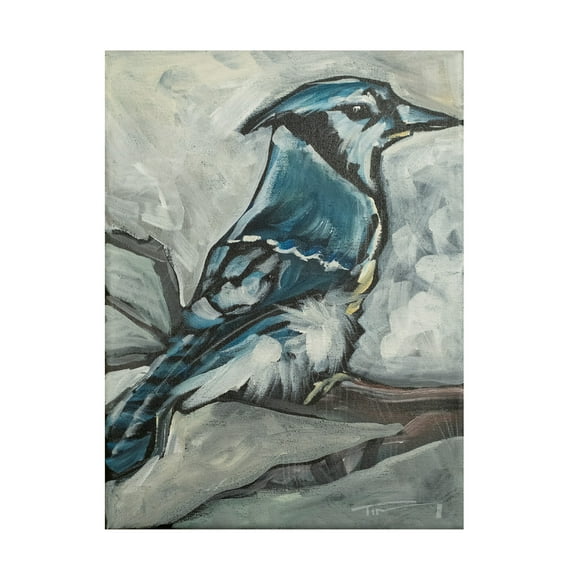 Tim Nyberg 'Blue Jay' Canvas Art