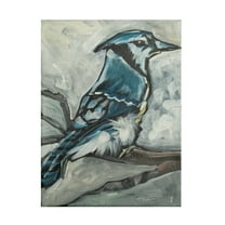 Tim Nyberg 'Blue Jay' Canvas Art