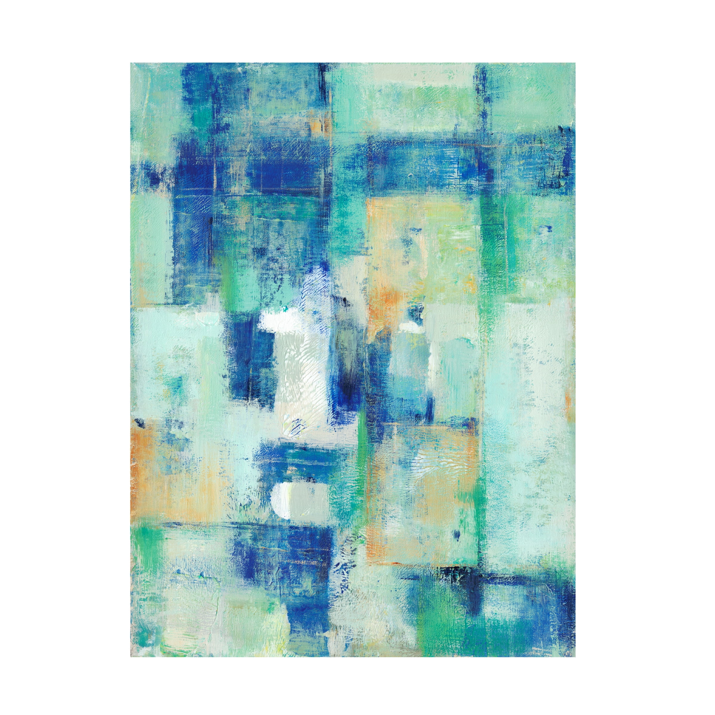 Tim O Toole 'Aerial Vision I' Canvas Art