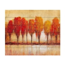Tim O'Toole 'Autumn Waters Edge' Wood Slat Art 18x22