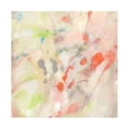 thumbnail image 1 of Tim O Toole 'Coral Fusion I' Canvas Art, 1 of 3