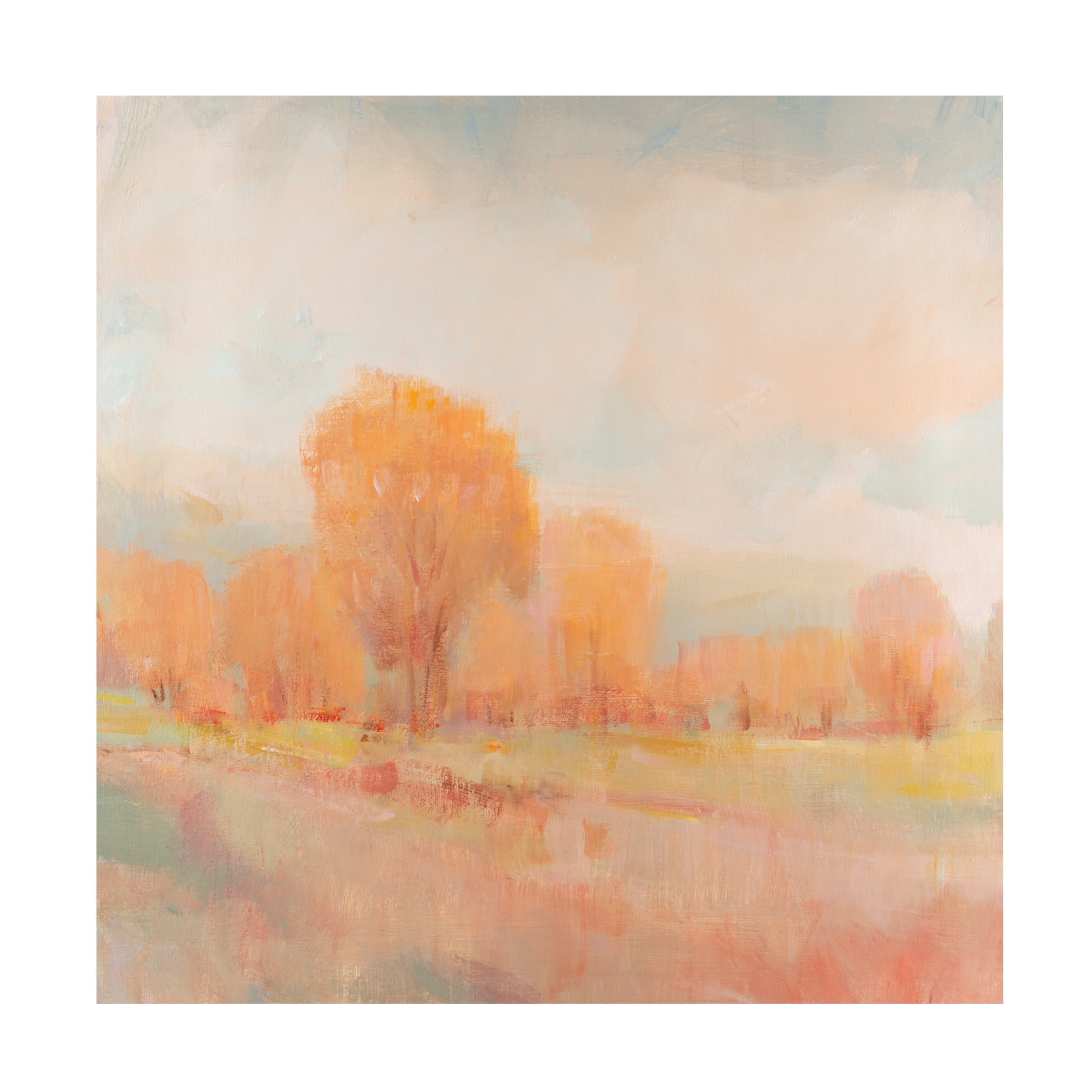 Tim O'Toole 'Early Frost I' Canvas Art