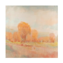 Tim O'Toole 'Early Frost I' Canvas Art