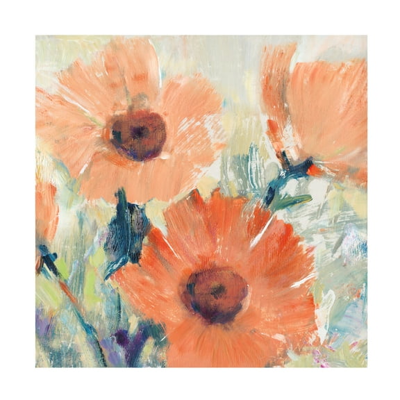 Tim O Toole 'Flowers in Bloom I' Canvas Art