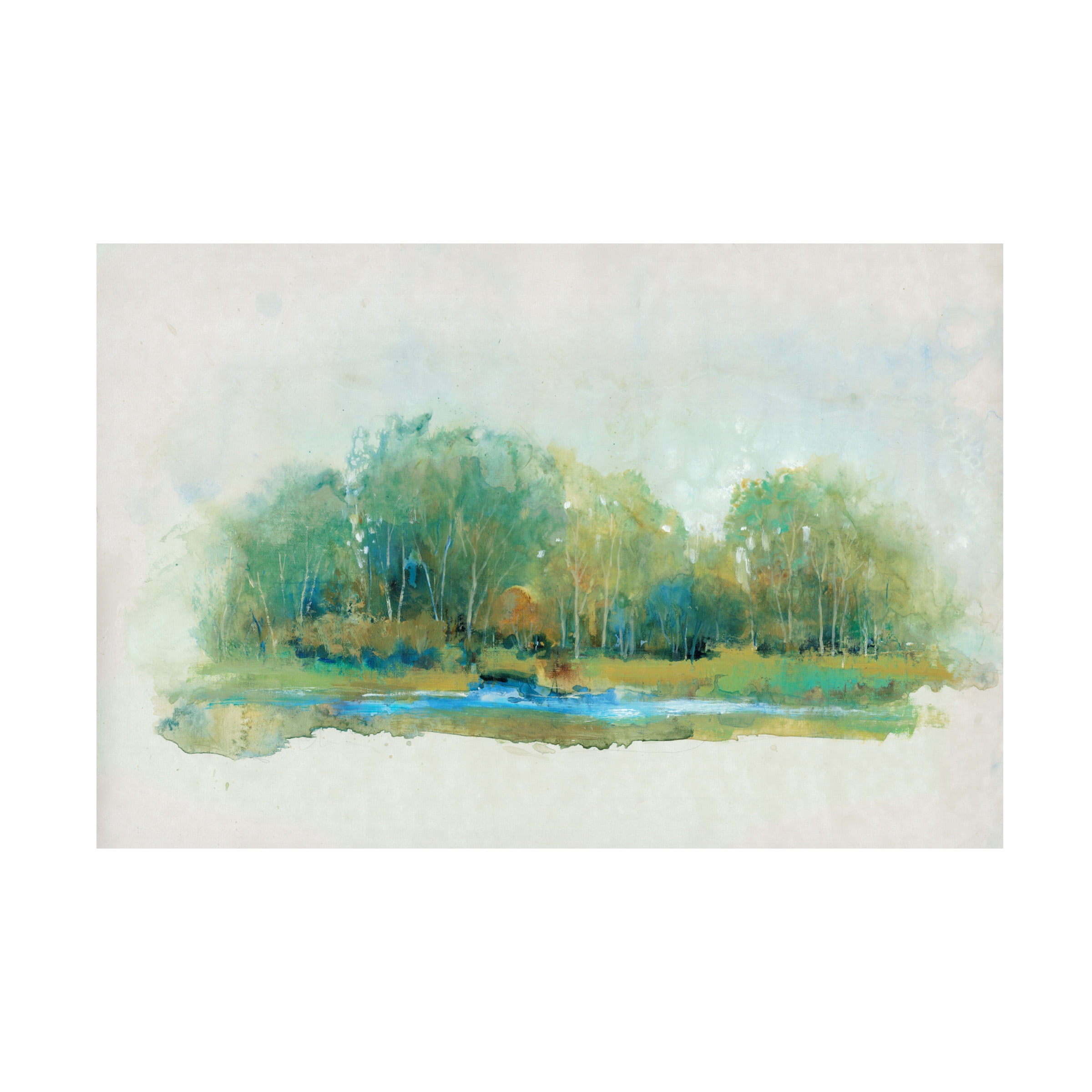 Tim O Toole 'Forest Vignette II' Canvas Art