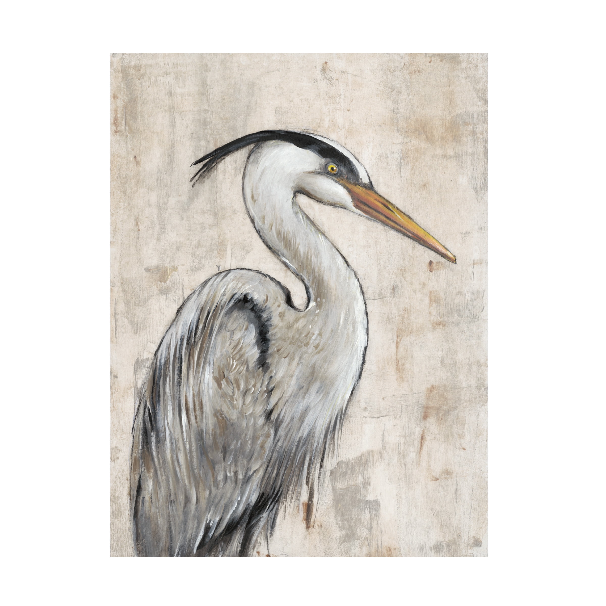 Tim O'Toole 'Grey Heron I' Canvas Art