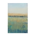 thumbnail image 1 of Tim O Toole 'Open Meadow View II' Canvas Art, 1 of 3