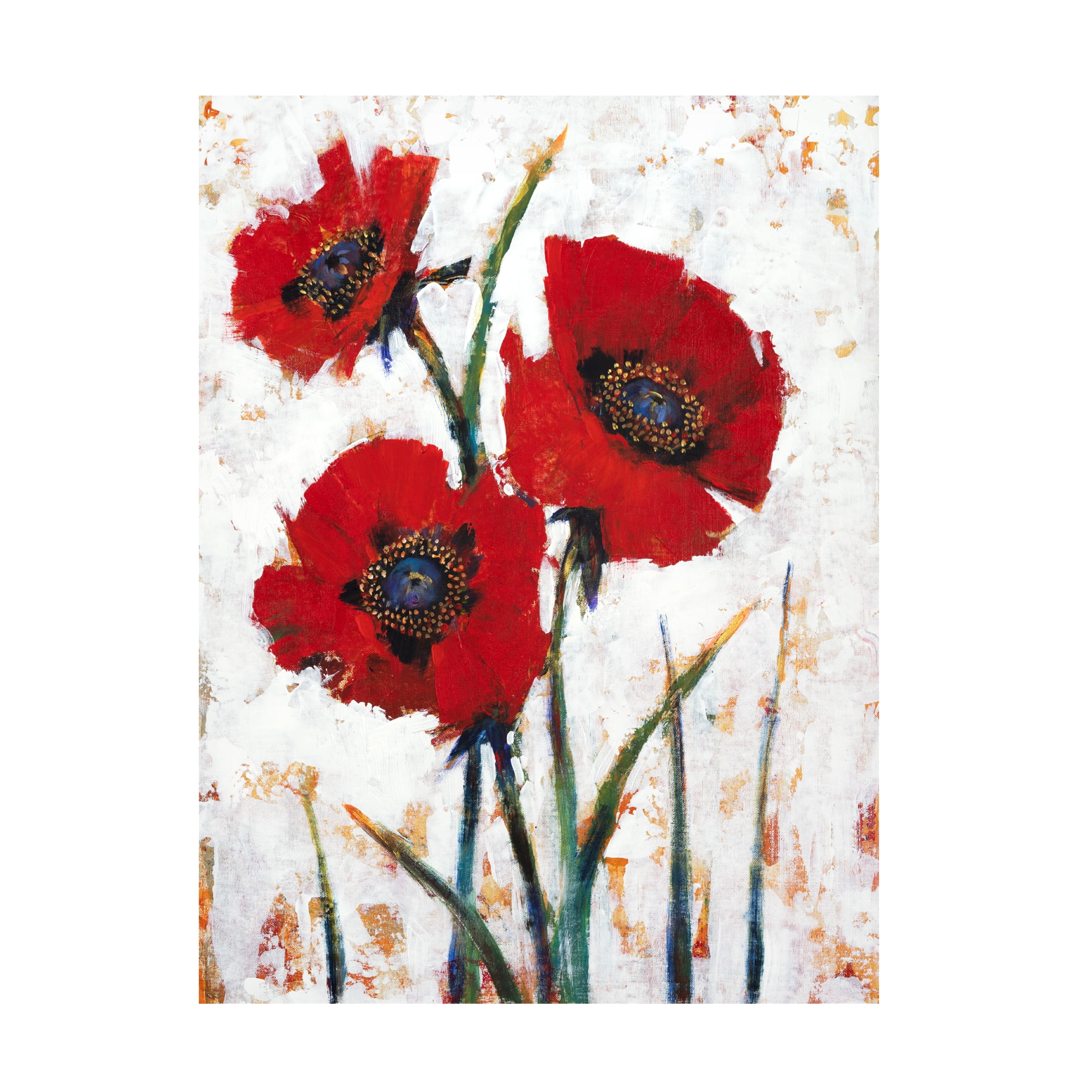 Tim O Toole 'Red Poppy Fresco I' Canvas Art