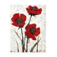 thumbnail image 1 of Tim O Toole 'Red Poppy Fresco II' Canvas Art, 1 of 3