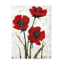 Tim O Toole 'Red Poppy Fresco II' Canvas Art