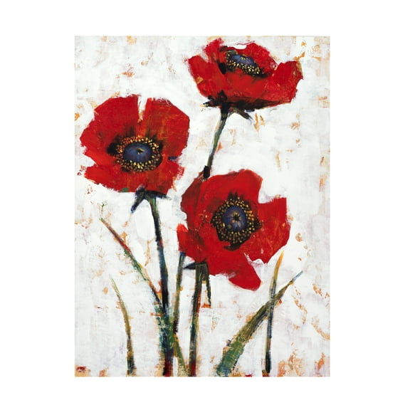 Tim O Toole 'Red Poppy Fresco II' Canvas Art