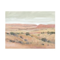 Tim O'Toole 'Southwest Landscape I' Canvas Art