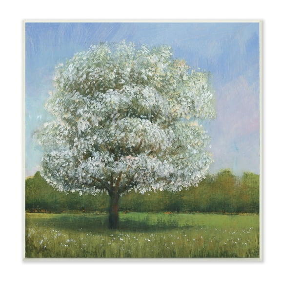Tim O'Toole Spring Blossom Tree Landscape White Floral Meadow 12 in x 12 in Framed Painting Art Print, by Stupell Home Décor