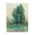 thumbnail image 1 of Tim O Toole 'Spring Paysage II' Canvas Art, 1 of 3