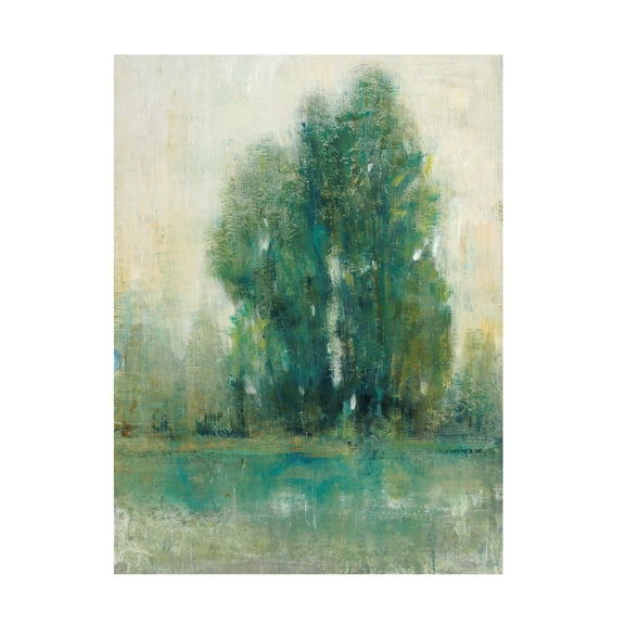 Tim O Toole 'Spring Paysage II' Canvas Art