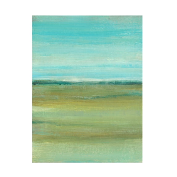 Tim O Toole 'Terra Verde I' Canvas Art
