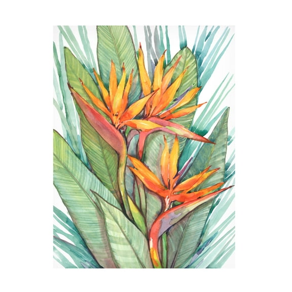 Tim O Toole 'Tropical Botanical Paradise II' Canvas Art