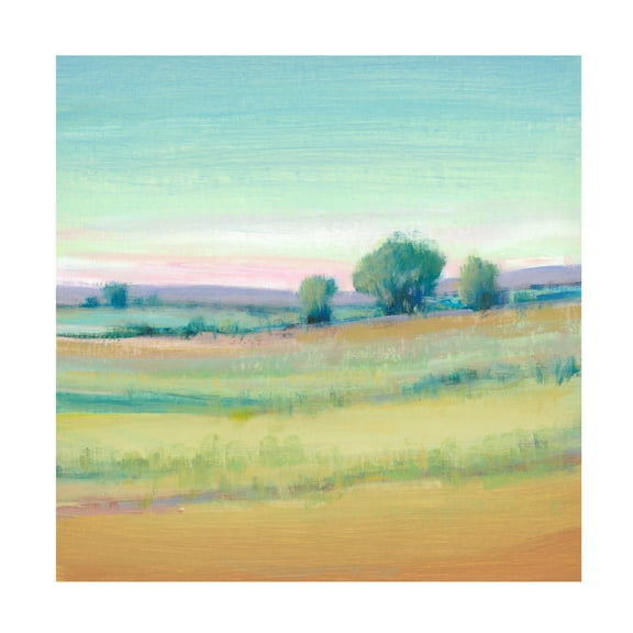 Tim O'Toole 'Vivid Landscape VI' Canvas Art