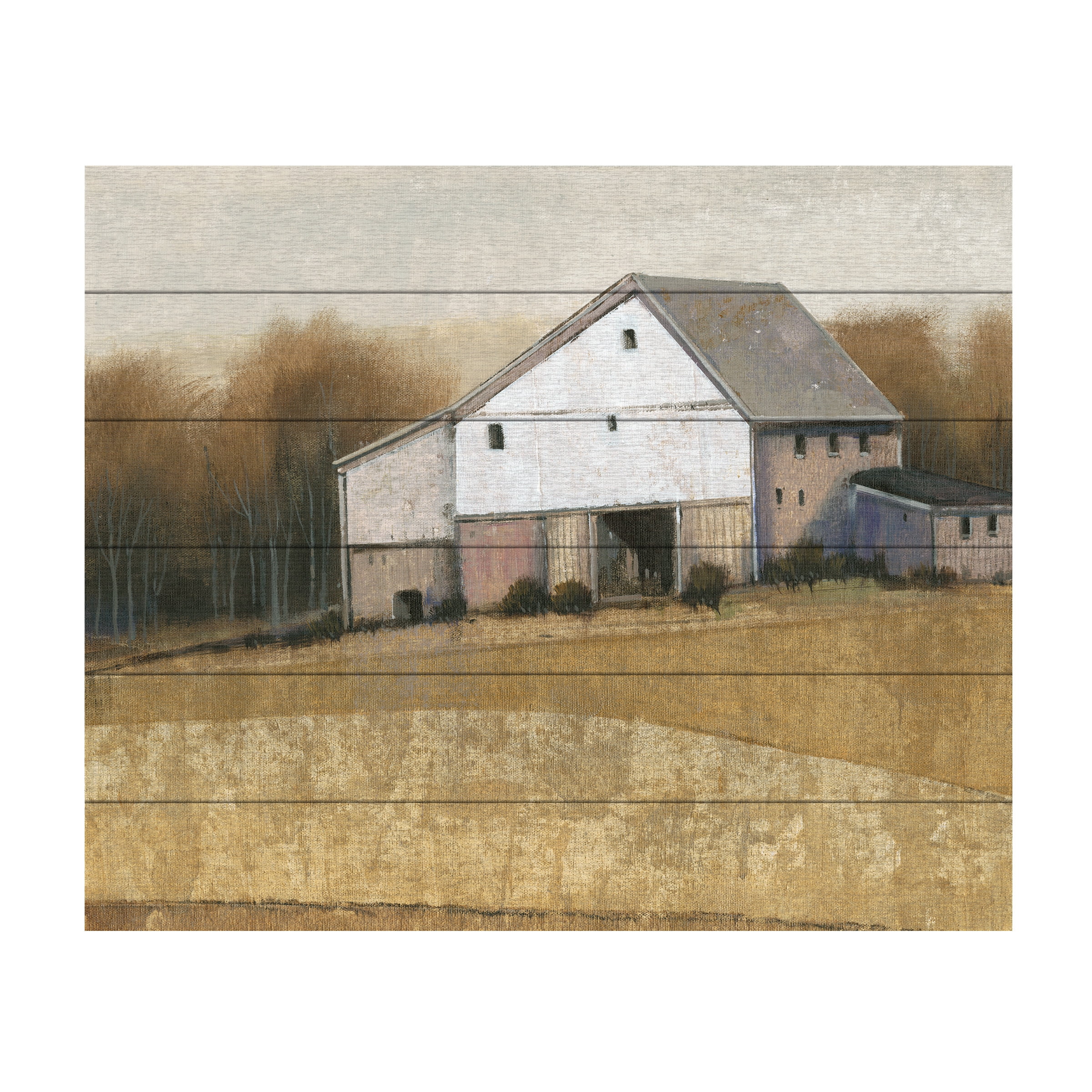 Tim O'Toole 'White Barn View I' Wood Slat Art 18x22