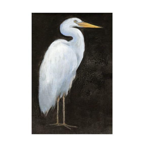 Tim O'Toole 'White Heron Portrait I' Canvas Art