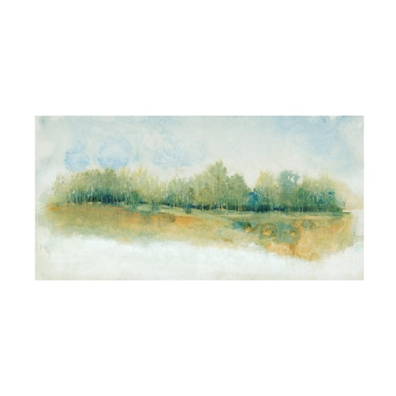 Tim O Toole 'Wind Break I' Canvas Art