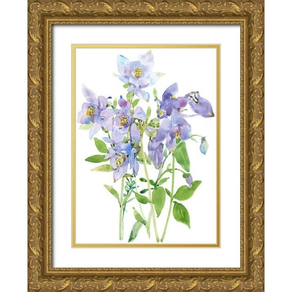 Tim OToole 11x14 Gold Ornate Wood Framed with Double Matting Museum Art Print Titled - Columbine Spray I