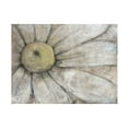 thumbnail image 1 of Tim OToole 'Close Up Daisy I' Canvas Art, 1 of 3