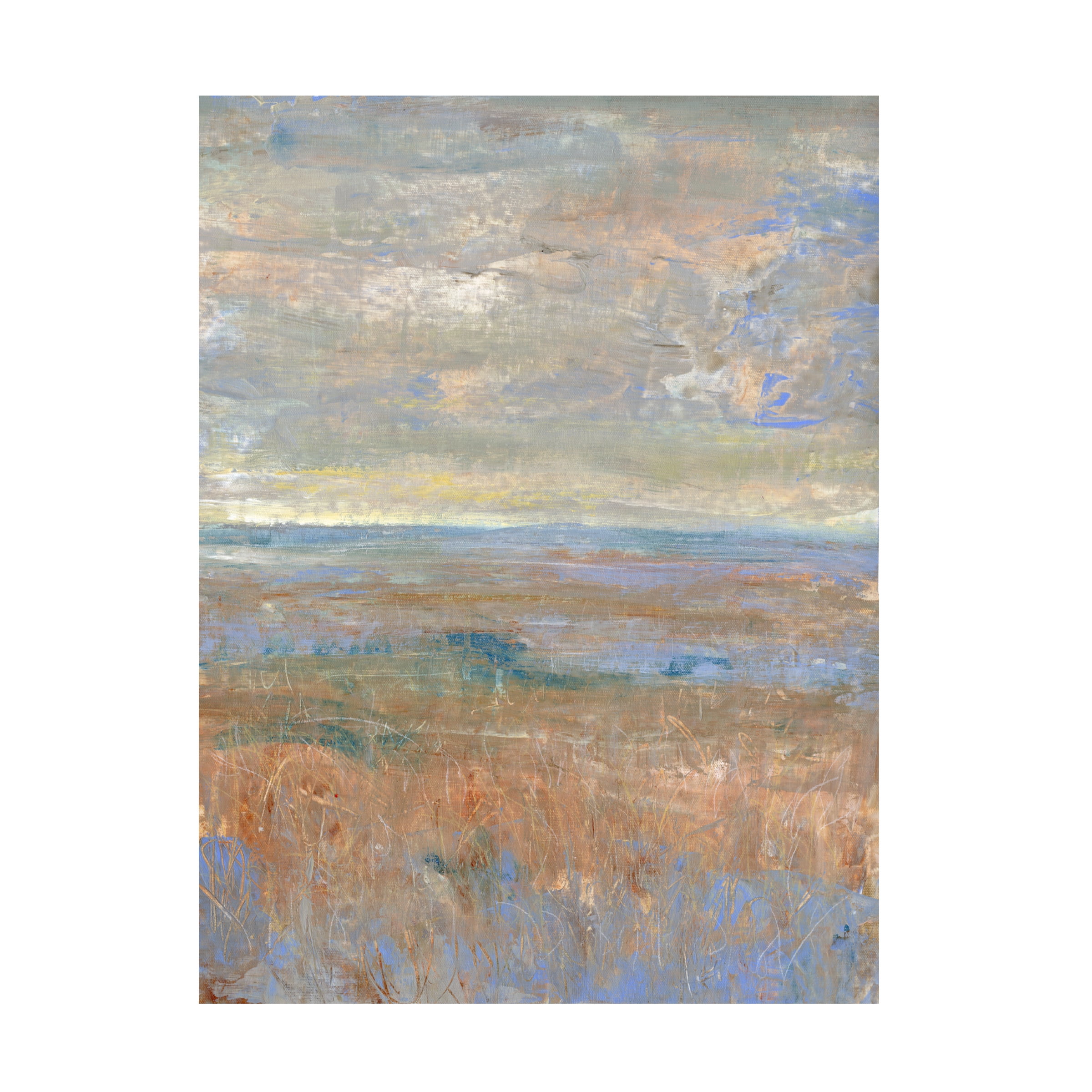 Tim OToole 'Evening Marsh II' Canvas Art