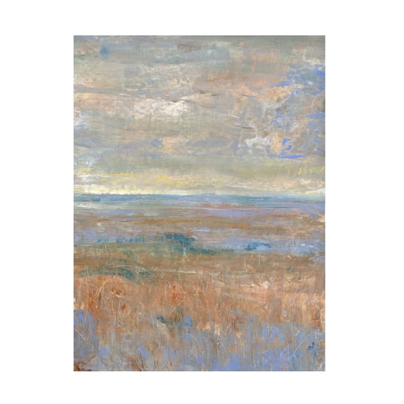 Tim OToole 'Evening Marsh II' Canvas Art