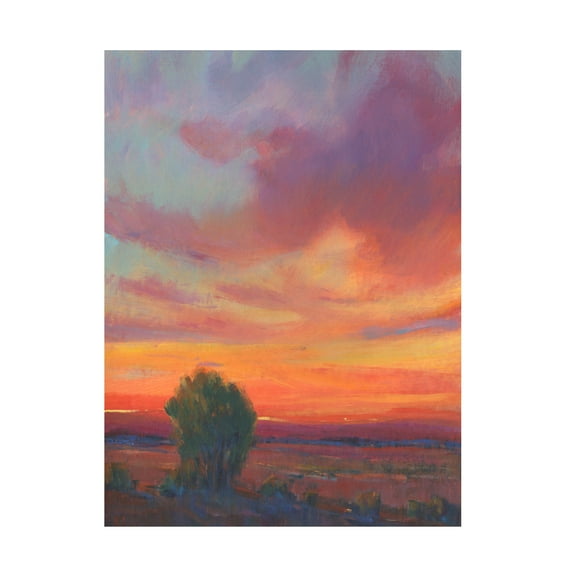 Tim OToole 'Fire In The Sky II' Canvas Art