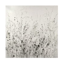 Tim OToole 'Garden Remnants II' Canvas Art