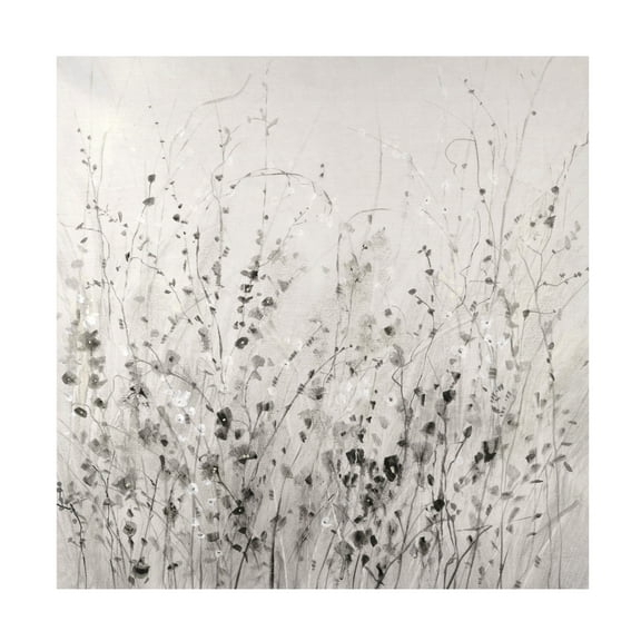 Tim OToole 'Garden Remnants II' Canvas Art