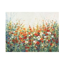 Tim OToole 'Garden in Bloom I' Canvas Art