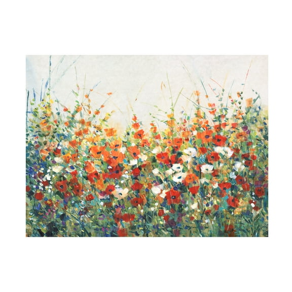 Tim OToole 'Garden in Bloom I' Canvas Art