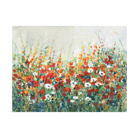 Tim OToole 'Garden in Bloom II' Canvas Art