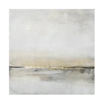 Trademark Fine Art Tim OToole Horizontal Flow I Canvas Wall Art - 14x14