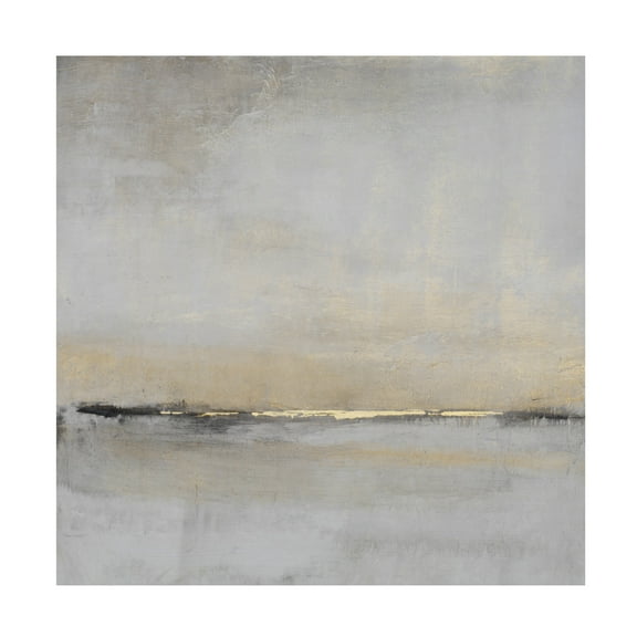 Trademark Fine Art Tim OToole Horizontal Flow II Canvas Wall Art - 18x18