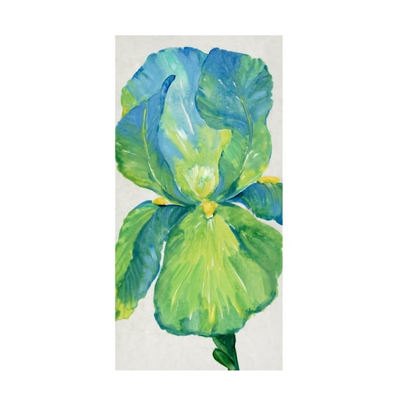 Tim OToole 'Iris Bloom in Green I' Canvas Art