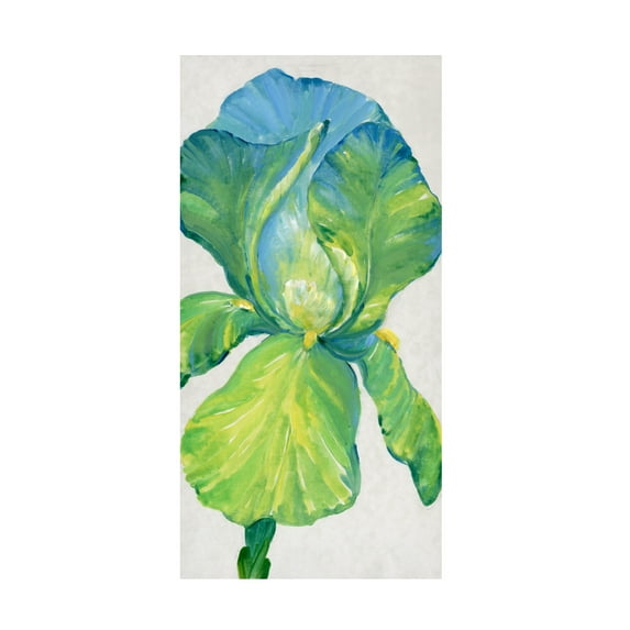Tim OToole 'Iris Bloom in Green II' Canvas Art
