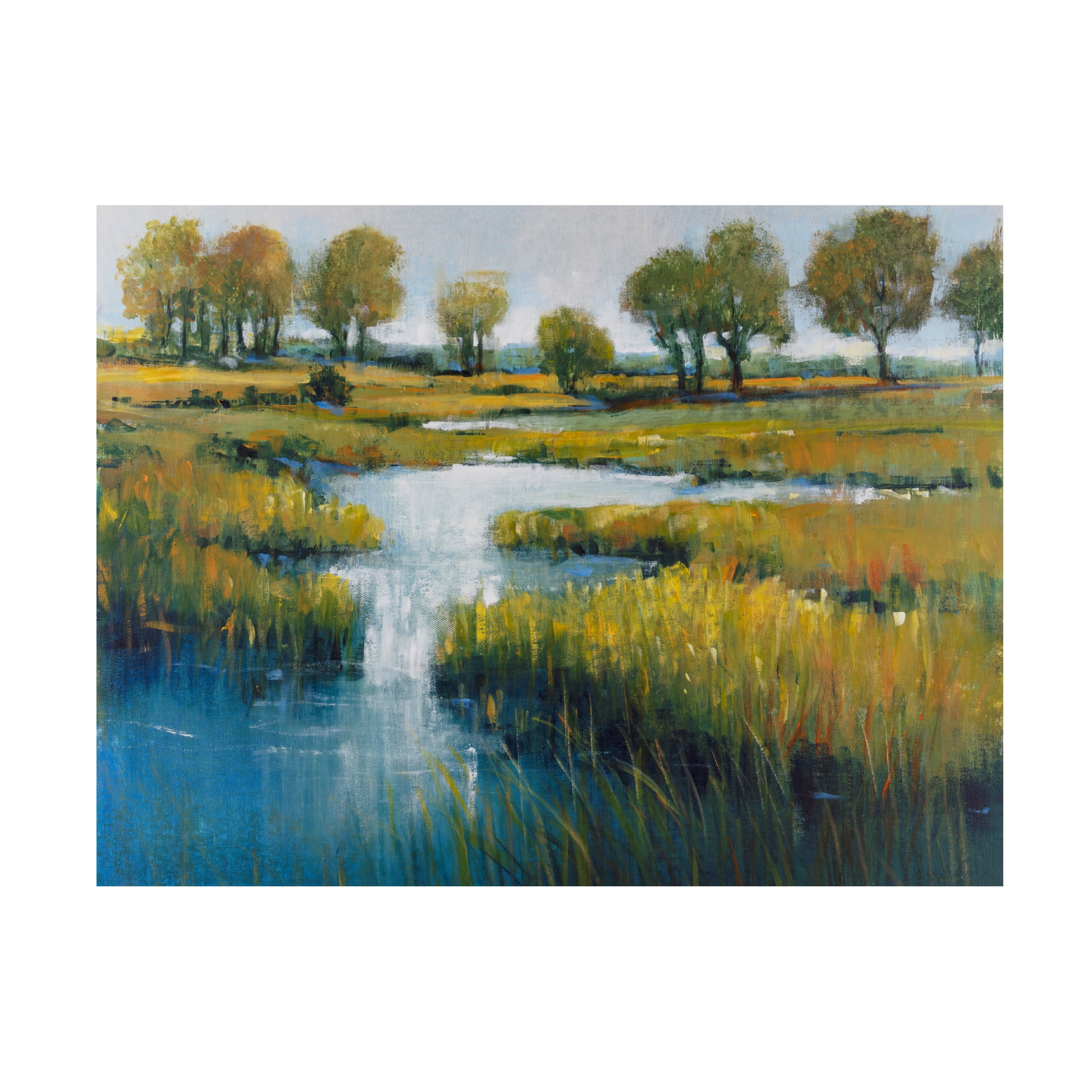 Tim OToole 'Marshland View III' Canvas Art