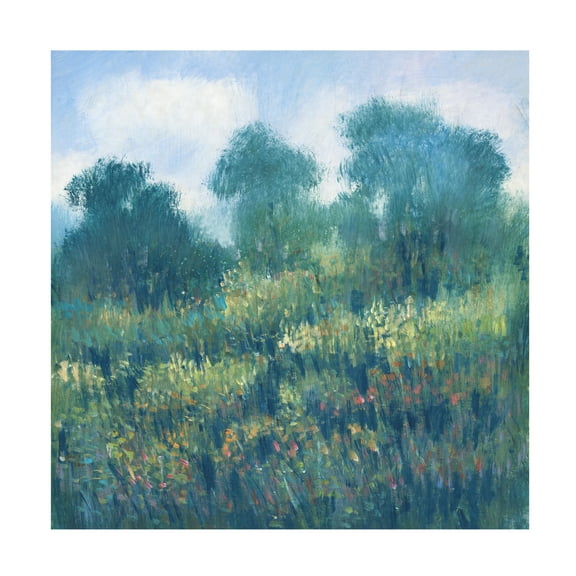 Tim OToole 'Meadow Wildflowers II' Canvas Art
